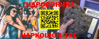 гашик Ирбит