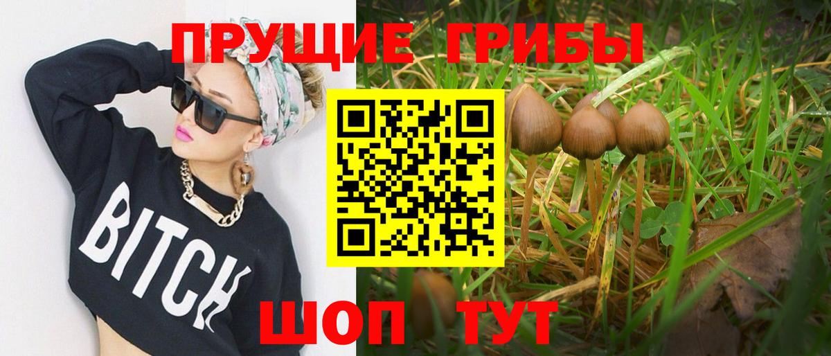 Псилоцибиновые грибы мухоморы  Вход с VPN  Сызрань 